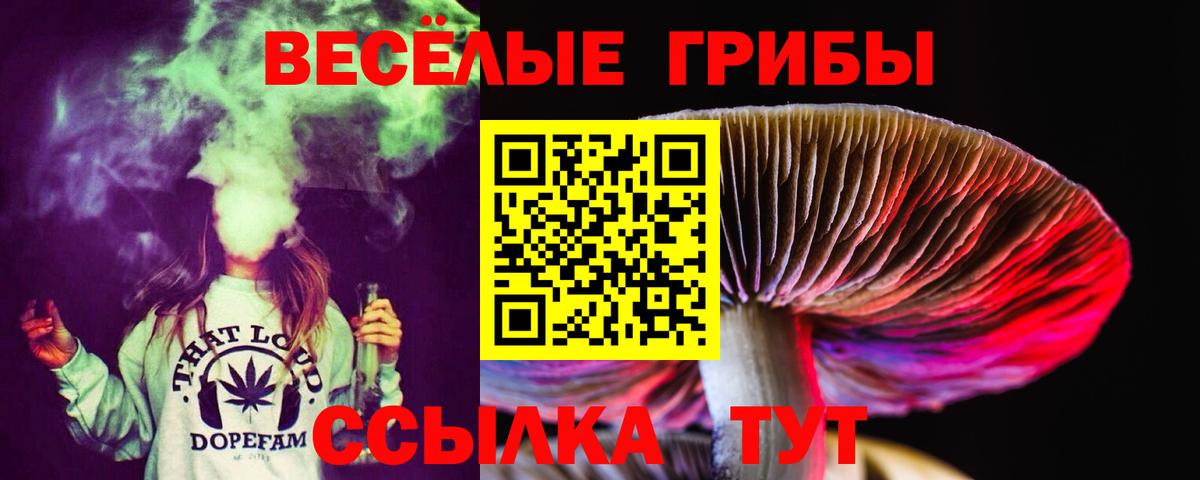 Псилоцибиновые грибы GOLDEN TEACHER  Галлюциногенные грибы MAGIC MUSHROOMS  Вход с VPN  Воскресенск 